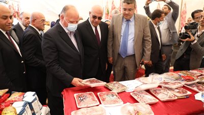 محافظ القاهرة يتفقد معرض 