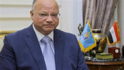 محافظ القاهرة يزف بشرى سارة عن منافذ بيع السلع (فيديو)