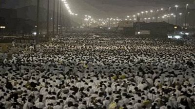 300 سيارت حديثة وأدلاء ذوي خبرة لتصعيد الحجيج إلى عرفات