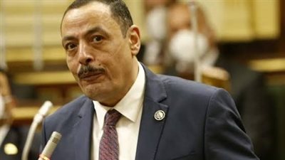 برلماني: عيد الأضحى أتى ومعه العديد من الإنجازات