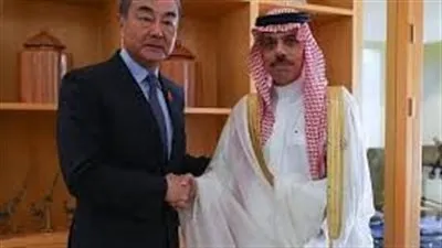 تفاصيل لقاء وزير الخارجية مع نظيرة الصينى 