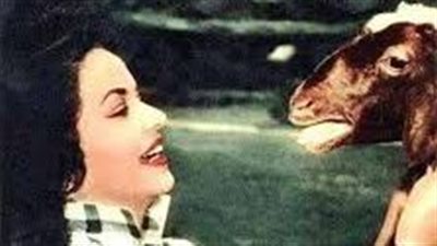 الخرفان أكلت عيدية عفاف شعيب.. مواقف النجوم مع أضحية عيد الأضحى