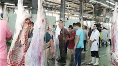 مراقبة بالكاميرات والذبح مجانًا.. بهذه الإجراءات تستعد مجازر القاهرة لاستقبال الأضاحي 