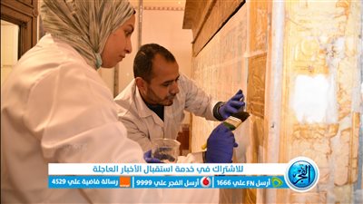 مدير عام بالمتحف الكبير: 