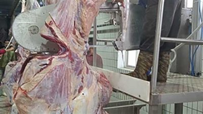 محافظ الجيزة: فتح المجازر بالمجان طوال أيام عيد الأضحى المبارك