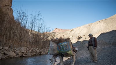 الكوليرا تجتاح أفغانستان وتقضي على حياة 40 شخصا