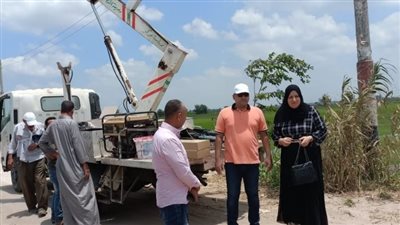 خطة الدقهلية لزرع وصيانة أعمدة الإنارة في المنصورة