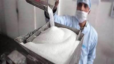 الزراعة تكشف موعد تحقيق مصر الاكتفاء الذاتي من السكر