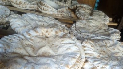 تحرير 130 محضر مخالفات بالأسواق في 9 مراكز بالدقهلية