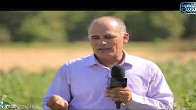 خبير: نجاح زراعة الجنسينج الهندى لأول مرة فى مصر