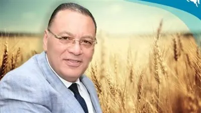 محافظ الشرقية: استقبال الشون والصوامع 77 طن قمح حتى الآن