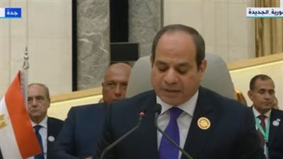السيسي: لم يعد مقبولا أن يكون من أبناء أمتنا العربية لاجىء