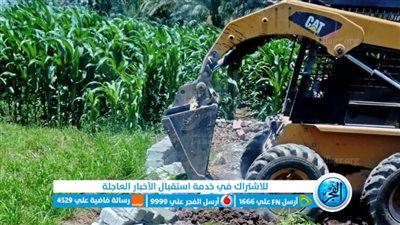 إزالة 46 حالة تعدٍ على الأراضي الزراعية وأملاك الدولة بالفيوم