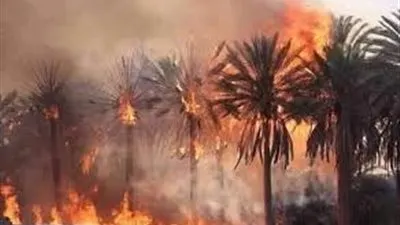 السيطرة على حريق في مزرعة للنخيل وعمارة سكنية بالقرب من معبد الكرنك