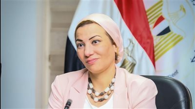 وزيرا البيئة والشباب والرياضة يناقشان الاستعدادات لمؤتمر المناخ COP27