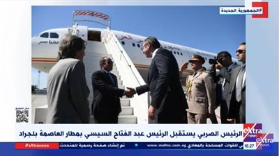 شاهد.. استقبال خاص من المقاتلات الصربية لطائرة الرئيس السيسي 