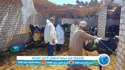 إطلاق 8 لجان تحصينات ضد الحمى القلاعية في الأقصر 