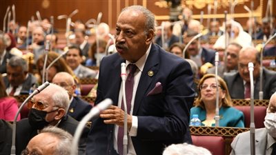 برلماني: زيارة السيسي لصربيا تفتح آفاق جديدة للتعاون ودعم السياحة