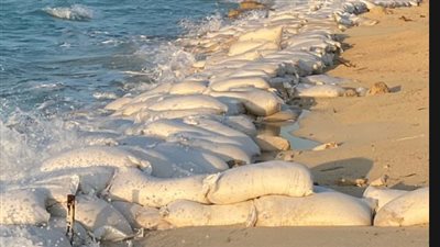 هشام عز العرب: خليج سيدي عبد الرحمن يعاني من جريمة بيئية متكاملة