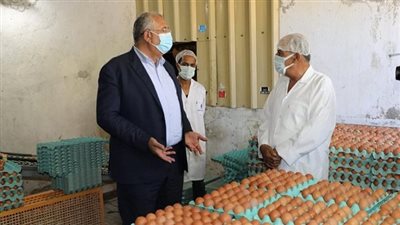 وزير الزراعة يتفقد مشروع إنتاج الدجاج البياض بالعامرية 