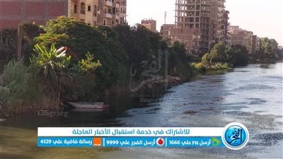 كانت تسقي الماشية.. مصرع فتاة غرقا إثر انزلاق قدميها في ترعة بالمنوفية