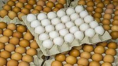 كرتونة البيض بـ 62 جنيها.. رئيس قطاع الثروة الداجنة بالزراعة يكشف التفاصيل