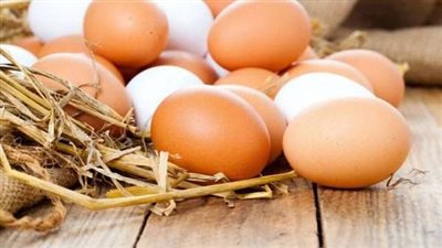 رئيس اتحاد منتجي الدواجن يكشف أسباب ارتفاع سعر البيض (فيديو)