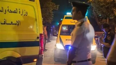 عاتبهما فمزقا جسدهما.. لماذا قُتل سباك وعمه في الهرم 