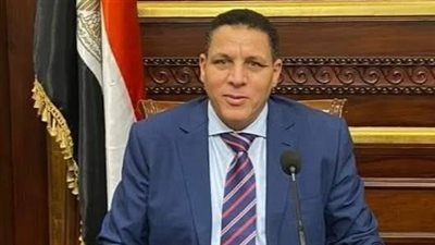برلماني: قرارات السيسي بصرف علاوات استثنائية تاريخية وتوكد انحيازه للبسطاء