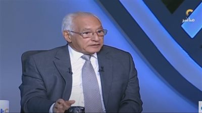 علي الدين هلال: نحتاج إلى إعادة النظر في النظام الانتخابي (فيديو)