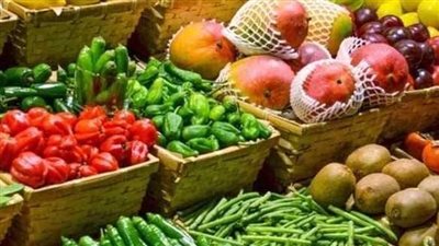 الزراعة: افتتاح 60 سوقا جديدا للصادرات الزراعية خلال 4 سنوات (فيديو)