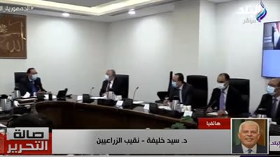 نقيب الزراعيين: توجيهات الرئيس ستزيد توريد القمح.. وأسعار استرشادية لهذه المحاصيل (فيديو)