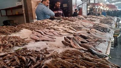 تعرف على رتفاع أسعار الأسماك ببورسعيد 