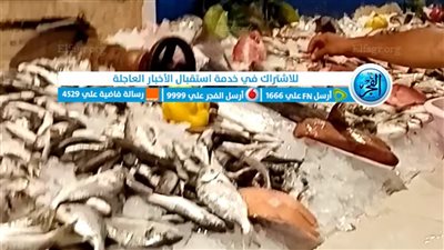 تعرف على أسعار الأسماك اليوم الاثنين 1 أغسطس فى محافظة المنوفية (فيديو)