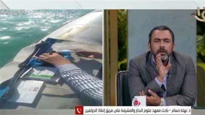 تفاصيل نقل دولفين من مياه البحر إلى وحدة علاج مجهزة بالغردقة لإسعافه