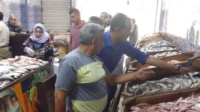 إعدام أغذية وإنذارات بالغلق في حملات مكبرة بأسواق بلقاس في الدقهلية 