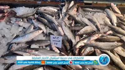 أسعار الأسماك اليوم الخميس 4 أغسطس في المنوفية