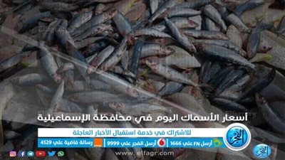 أسعار الأسماك اليوم الخميس في أسواق الإسماعيلية