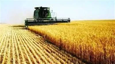 بشري سارة.. أوكرانيا تتوقع استئناف صادرتها من القمح سبتمبر القادم