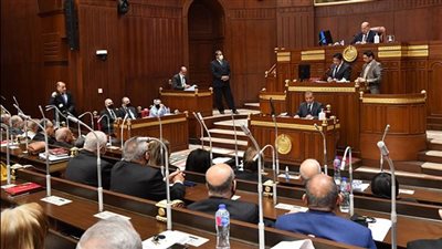 برلماني: دعم مصاريف الدراسة للمتقدمين للجامعات الأهلية والحكومية تخفف عن ملايين الأسر 