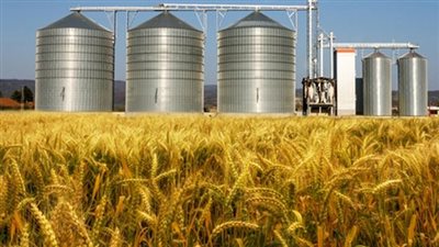 معهد الاقتصاد الزراعي: السيسي وجه بزيادة السعة التخزينية لمصر