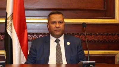 نائب بالشيوخ: التاريخ يشهد على دور مصر البارز في دعم القضية الفلسطينية