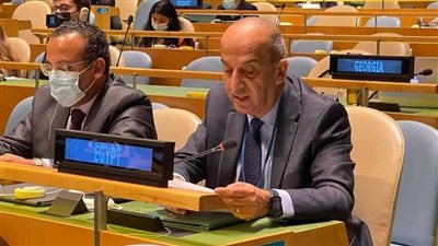 عاجل.. مندوب مصر بالأمم المتحدة: مصر تؤكد ضرورة العمل على مرور السلع لقطاع غزة 