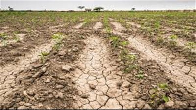 المفوضية الأوروبية: الجفاف الذي يجتاح أوروبا هو الأسوء في القرن السادس عشر