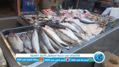 أسعار السمك اليوم الأربعاء 10-8-2022 في محافظة قنا