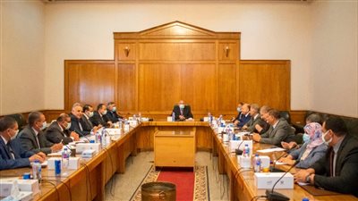 عبدالعاطي: حملات التوعية نجحت في تحويل 1.40 مليون فدان للري الحديث