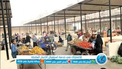  أسعار الخضروات اليوم الخميس 11-8-2022 في أسواق محافظة بني سويف