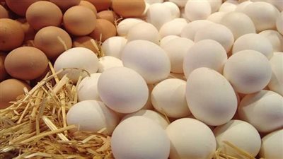  برغم ارتفاعها 47% في أمريكا..أسعار البيض في مصر اليوم الخميس 11 اغسطس 2022 تسجل تراجعات جديدة