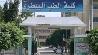تنسيق الكليات 2022.. تعرف على مجاميع الطب البيطري