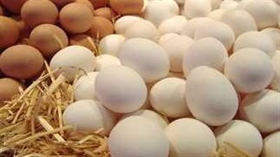 أسعار الدواجن والبيض اليوم الجمعة 12-8-2022 في محافظة الشرقية 